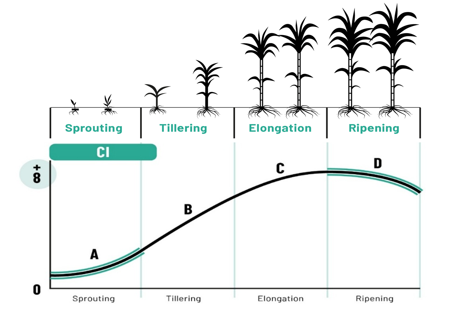 Chlorophyll Index Example